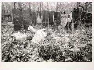 Serie "Jüdischer Friedhof, Berlin, Schönhauser Allee"