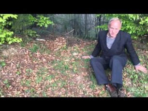 Ulrich Tukur über "Smultronstället" ("Wilde Erdbeeren")