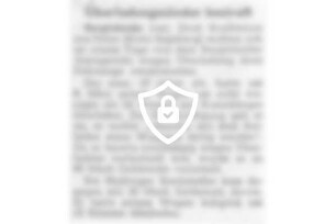 Überladungssünder bestraft