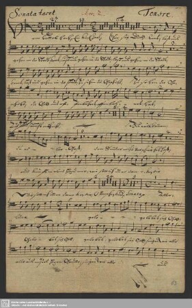 Chor II [pastori] Tenore