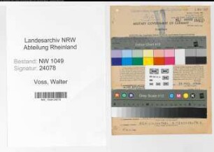 Entnazifizierung Walter Voss , geb. 05.09.1909 (Arzt)