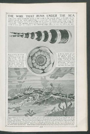 [Seiten 4551 - 4650]