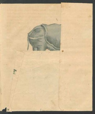 Tafel: [1. Das Nashorn, 2,3 Der Zebra, 4. ...]