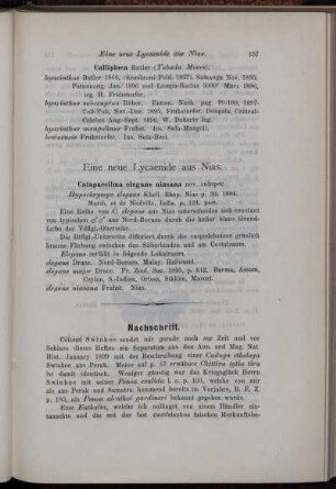 Eine neue Lycaenide aus Nias.