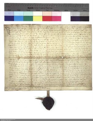 Verleihung eines Waldes der Siechenmeisterei an die Einwohner von Ziegel durch Hartmann Wilhelm Klauer zu Wohra