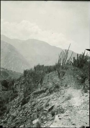 Gran Carretera Trasandina oberhalb Valera