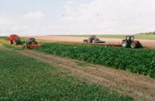 Fotografie: Erntetechnik, Zuckerrübe, Zweiphasiges Ernteverfahren, Frontköpfer
