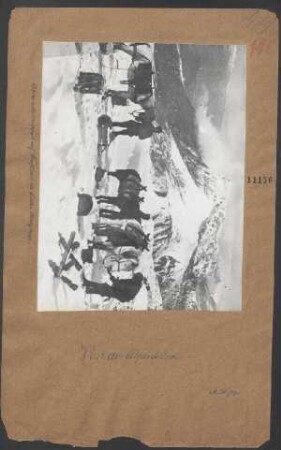 Lebensmitteltransport auf Tragtieren im Tiroler Hochgebirge