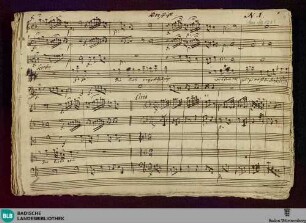 Cantatas - Don Mus.Ms. 1223 : V (3), Coro, strings