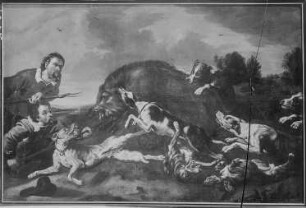 Keiler von Jägern und Hunden gestellt