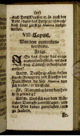 VIII. Capitel. Von dem austreibenden Gliede