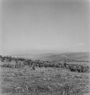 Landschaft (Kamerunreise 1937)