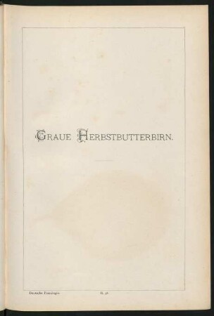 II. 58. Graue Herbstbutterbirn