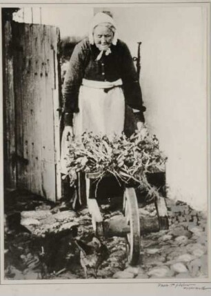 Maren Rinken