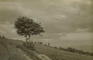 Landschaft bei Langewiese (heute Osek-Dlouhá Louka/ Tschechien)