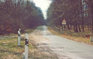 Hohenfelder Damm in der Hahnheide