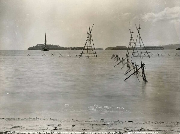 "Gavutu, from Halovo, shows natives fishing." (OT)