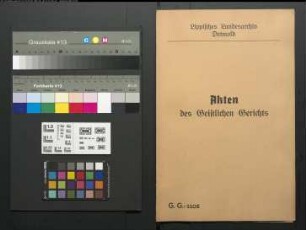 Anna Marie Ilsabein Crawinckels [Krawinkel] gegen Tönnies Nieman (Niemann) zu Währentrup, wegen einer Eheklage