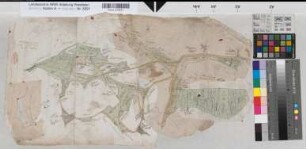 Hesselteich (Versmold) Teilung der Hülshorst, des Hasewinkelschen Bruchs, des Güssenteichs und der Dammwiese Entwurf (1779) o.M. unregelmäßig mit aufeinandergeklebten Ausschnitten kol. Zeichnung (Reinhold) Spez.Verz. Markenkarten X Nr. 138