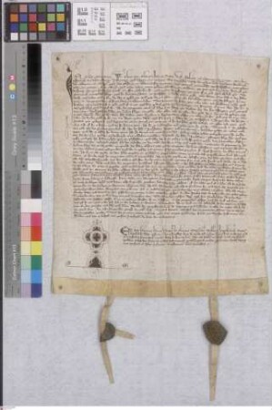 Rüsselsheim: Zeugenverhör, wie das Kloster Altmünster das Gut zu Rüsselsheim überkommen