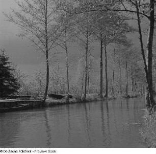 Ansicht eines Spree-Kanals im Spreewald