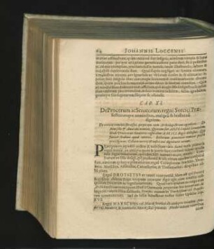 Cap. XI. De Procerum ac Senatorum regni Svecici Praesctorumque nominibus, antiqua & hodierna dignitate.