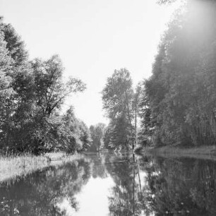 Trotzkefließ in Leipe. Bäume spiegeln sich im Wasser des Flusses. : Groble w Lipjem. Štomy špiheluja so we wodźe rěki.