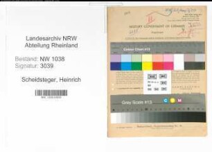 Entnazifizierung Heinrich Scheidsteger , geb. 03.09.1898 (Bahnbeamter)