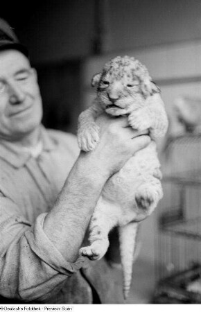 Tierpfleger mit einem Leopardenbaby