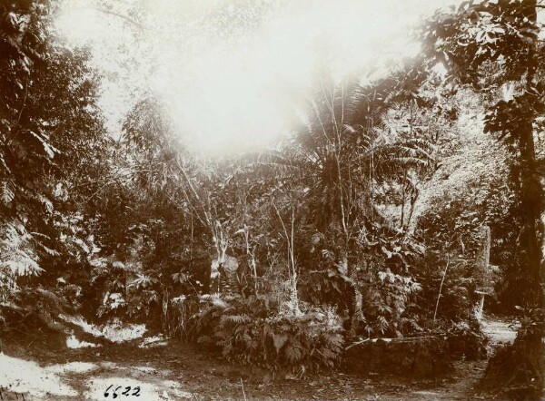 "Grave site with monolith. Maevo."