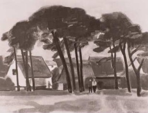 Kieferngruppe