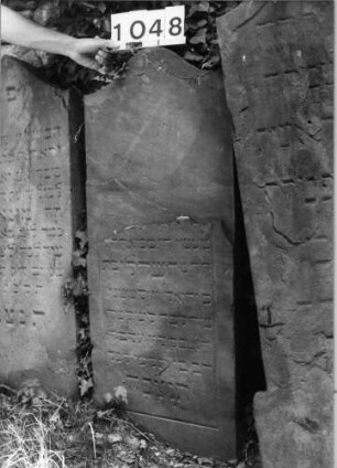 Grabstein 1048 (Index: 99630551) Material: Sandstein Zustand: oben abgeblättert, Textverlust Maße HxBxT: 113x48x6 cm Beschreibung: Stele mit Konvexbogenabschluß: Grabstein 1048