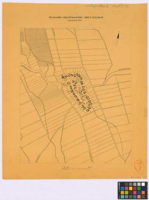 Feldmark Grubenhagen (Kreis Schlawe): Dorf- [oder Gemarkungs]plan (vermessen 1821). Gemarkungsplan mit Kennzeichnung der Höfe Hof Vanselow, Selke und Armenhaus