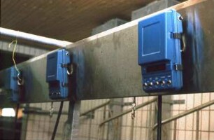 Fotografie: Melkstand, Melken, Informationstechnik
