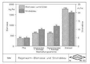Regenwurm - Biomasse und Strohabbau