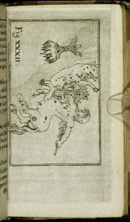 Fig. XXXII.