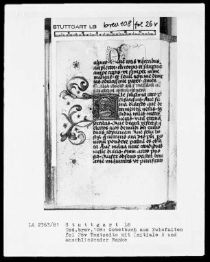 Gebetbuch aus Zwiefalten — Initiale A mit anschließender Ranke, Folio 26verso
