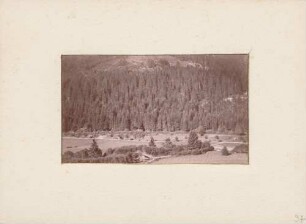 Blick ins Albtal