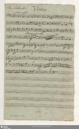 Violon [Part 1]