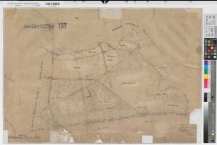 Holsterhausen (Dorsten), Zusammenlegung Holsterhausen, Urkarte II Holsterhausen Flur 6