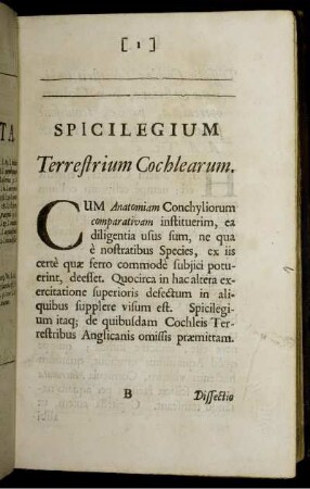 Spicilegium Terrestrium Cochlearum.