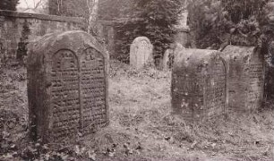 Judenfriedhof. Grabstein