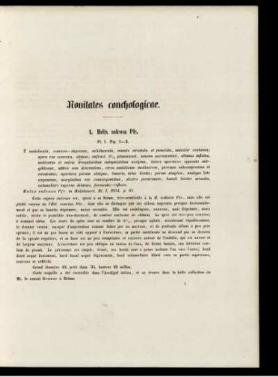 Novitates conchologicae. 1. Helix sulcosa Pfr. [bis] 99.Ennea obovata Pfr.