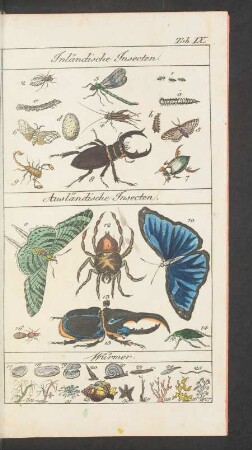 Tafel IX. Inländische Insecten. Ausländische Insecten. Würmer.