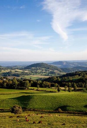 Frankreich. Auvergne. Cantal. Valette. Nähe. Vulkanlandschaft im Morgenlicht