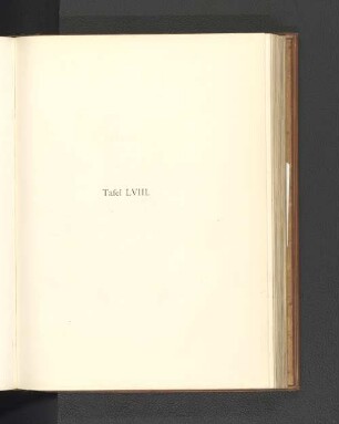 Tafel LVIII.