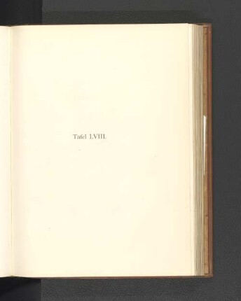 Tafel LVIII.