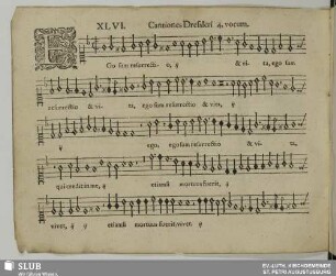XLVI. Ego sum resurrectio