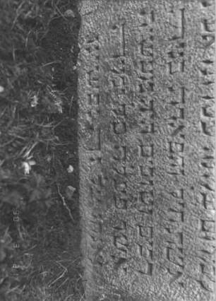 Grabstein 222 (Index: 100009148) Zustand: leicht eingesunken, Rückseite leicht verwittert Maße HxBxT: 108x62x10 cm: Grabstein 222D