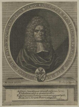 Bildnis des Henricus Opitius